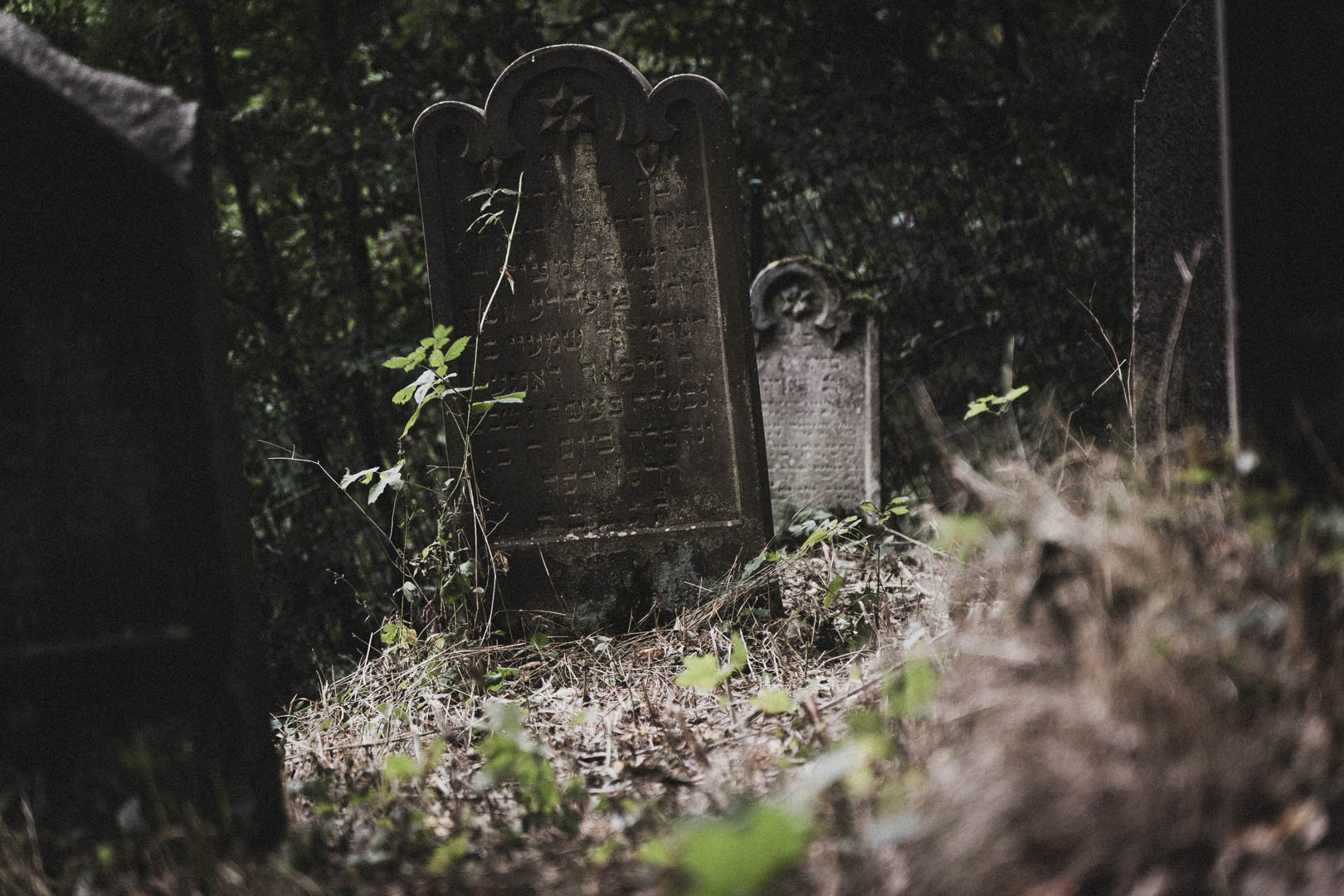 Sontra, Jüdischer Friedhof